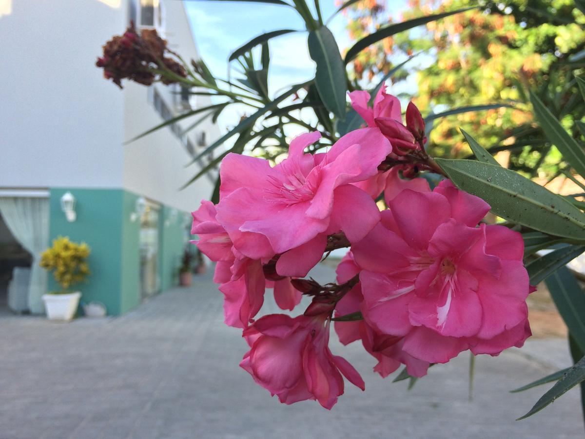 Scenarium Hotel جابواتاو دوس غوارارابيس المظهر الخارجي الصورة